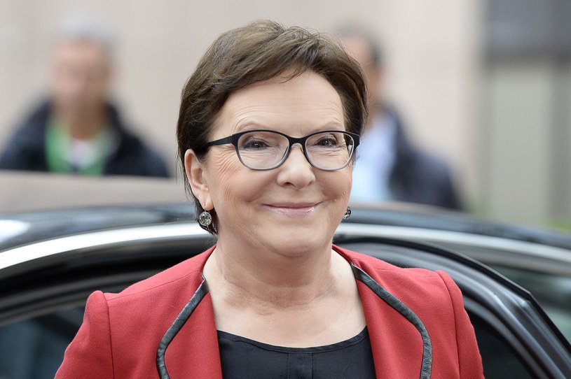 Premier Ewa Kopacz /AFP