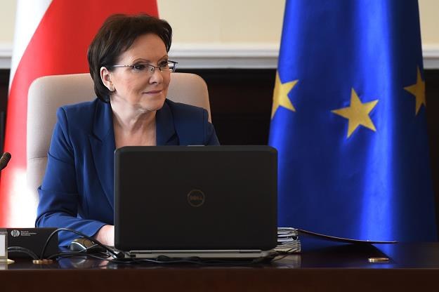 Premier Ewa Kopacz /PAP