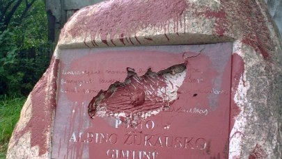 Premier Litwy: To ordynarne podburzanie do nienawiści