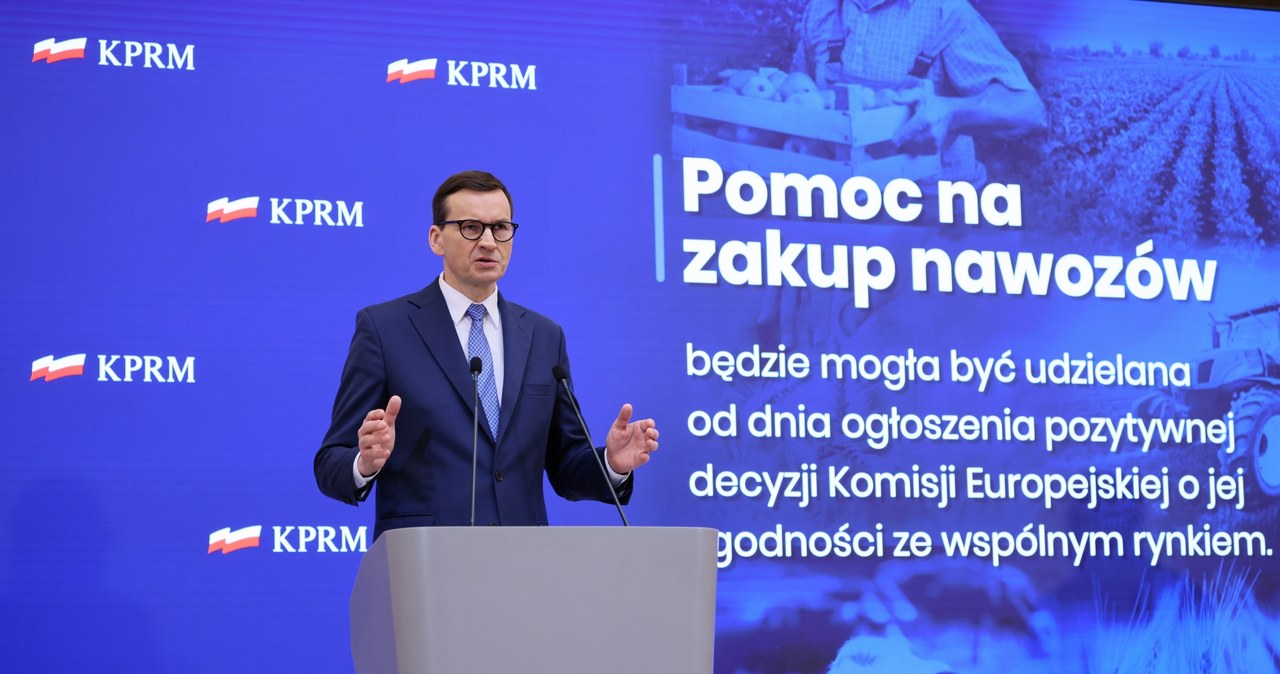 Premier Mateusz Morawiecki / 	Leszek Szymański    /PAP