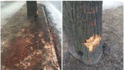 Premier może w czwartek odpowiadać w prokuraturze ws. wypadku kolumny rządowej