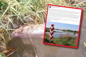 Premier o skażonej Odrze: Sprawa jest niezwykle skandaliczna