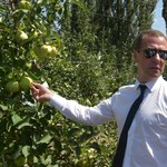 Premier Rosji: Polacy oblewają chemikaliami jabłka przeznaczone na eksport 
