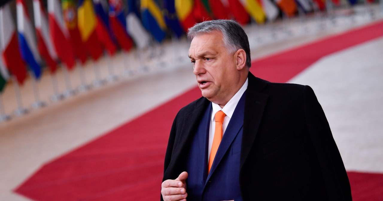 Premier Węgier Viktor Orban /JOHN THYS/POOL /AFP