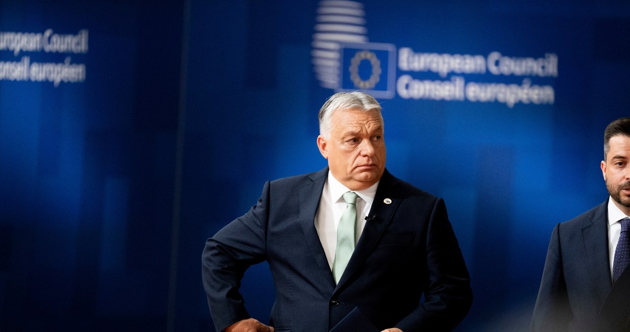 Premier Węgier Viktor Orban /Magali Cohen / Hans Lucas  /AFP