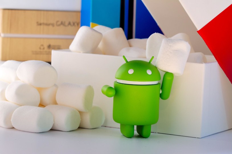 Premiera nowego Androida 14 powinna odbyć się jeszcze we wrześniu. Jaką "słodką nazwę" otrzymała najnowsza aktualizacja? /Pasi Mämmelä  /Pixabay.com
