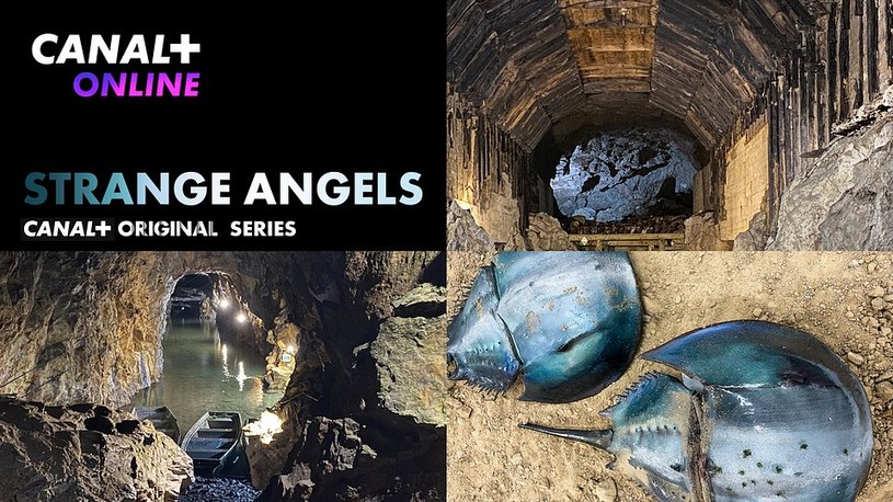 Premiera serialu "Strange Angels" w 2023 roku /materiały prasowe