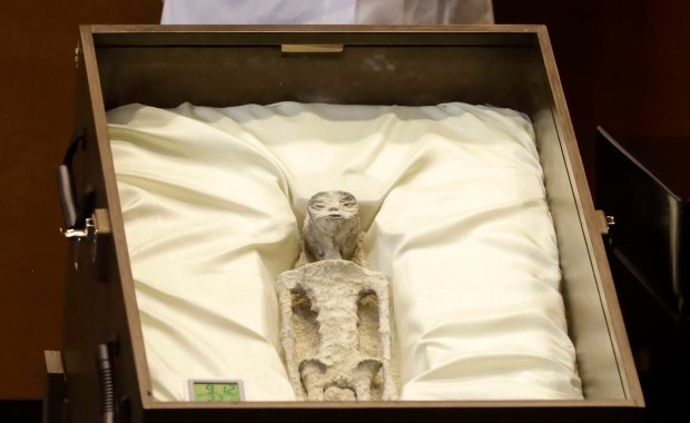 Prezentacja nie z tej ziemi. W meksykańskim Kongresie pokazano "zwłoki kosmitów"