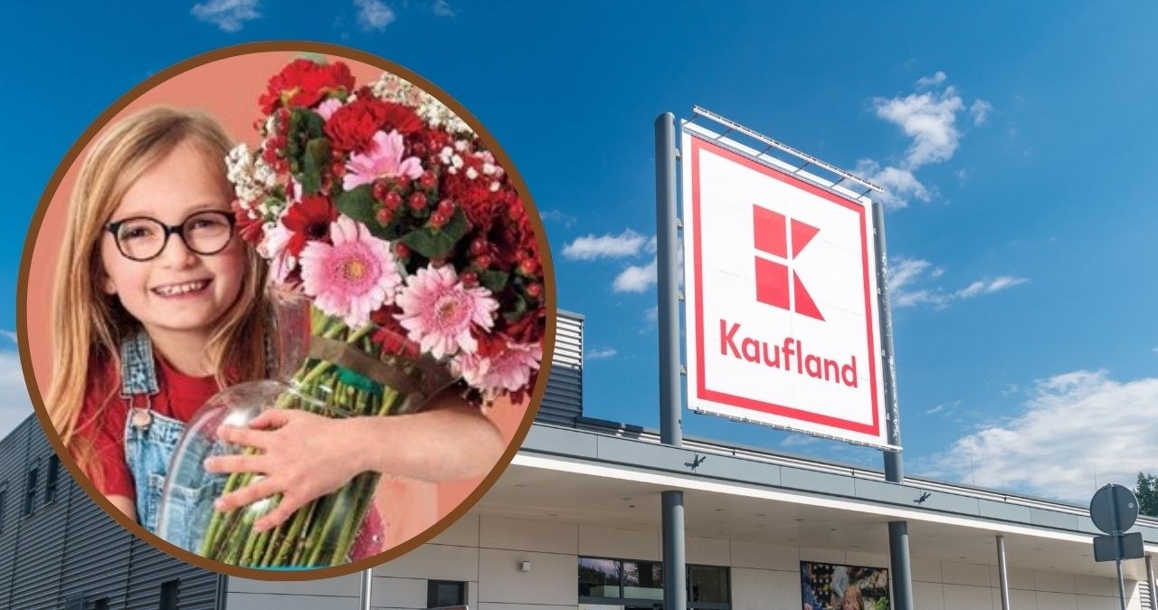 prezenty na Dzień Nauczyciela w Kauflandzie /adobestock/Kaufland /INTERIA.PL