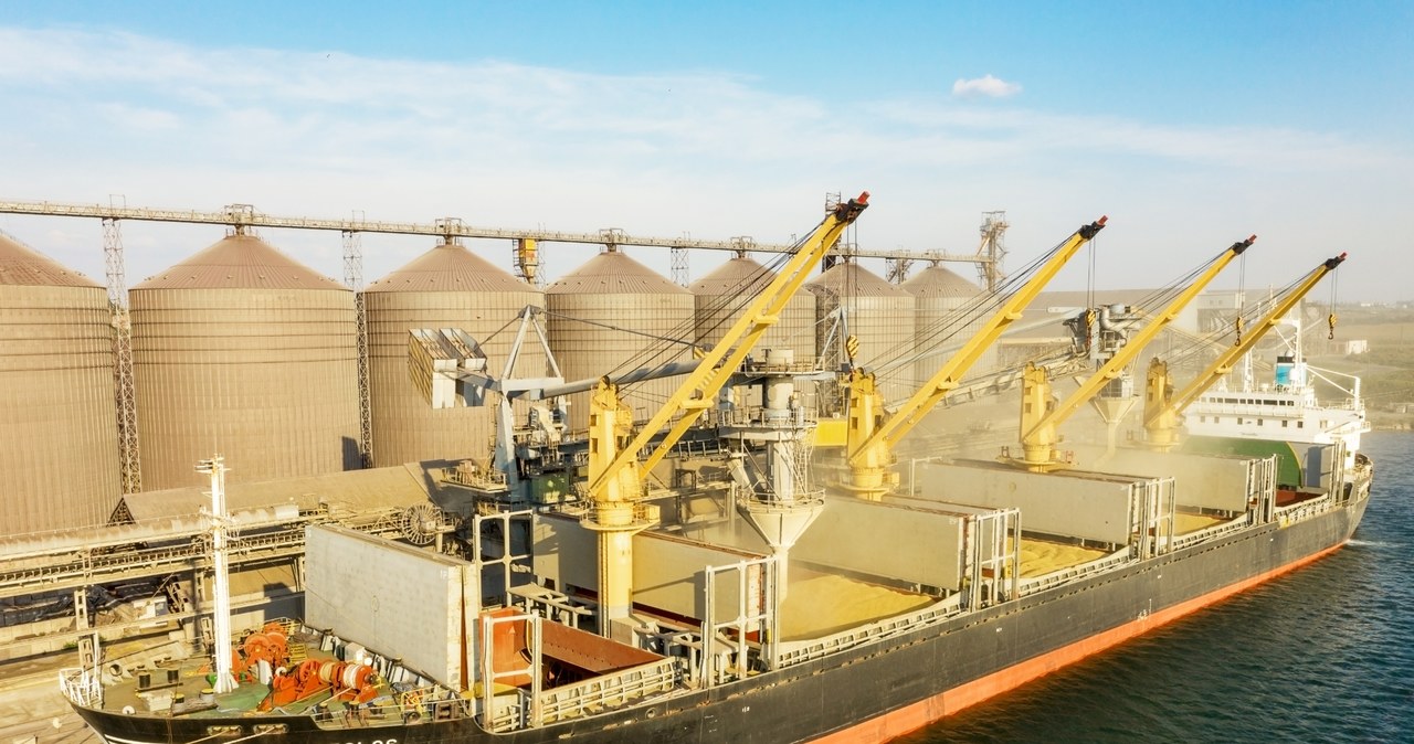Prezes kołobrzeskiego portu: możemy rocznie przeładować 300 tys. ton produktów z Ukrainy. (zdj. ilustracyjne) /123RF/PICSEL