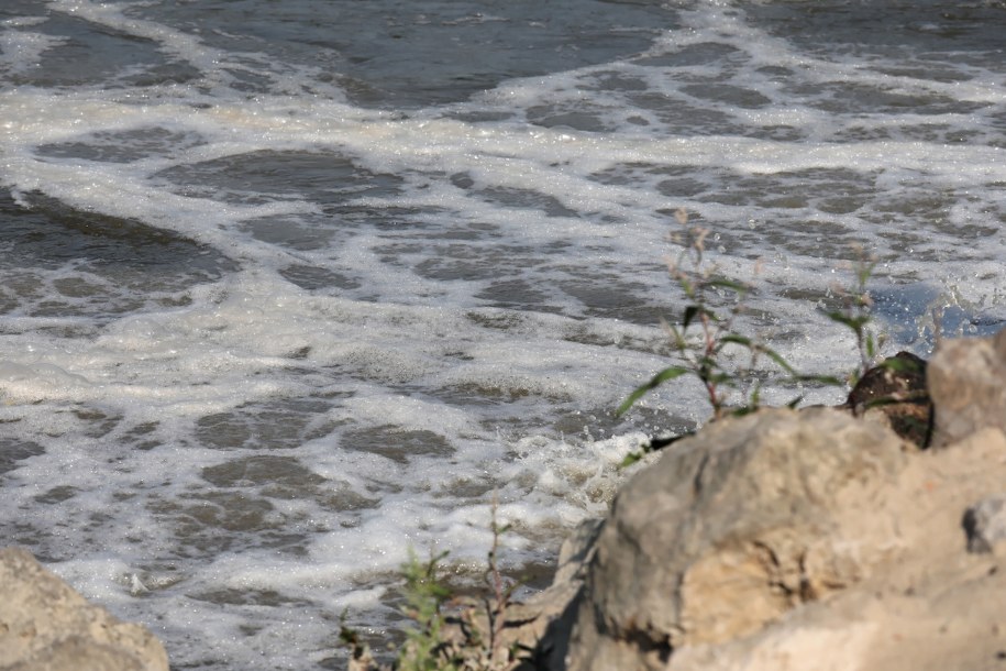 Prezes MPWiK: We wtorek rano mieliśmy awarię jednego kolektora / 	Tomasz Gzell    /PAP