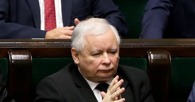 Prezes PiS Jarosław Kaczyński /PAP