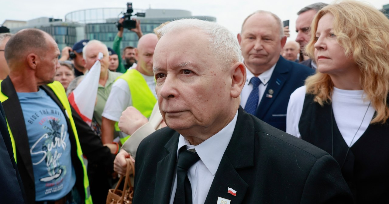 Prezes PiS Jarosław Kaczyński /Jacek Szydlowski  /Agencja FORUM