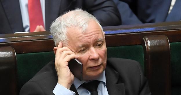 Prezes Prawa i Sprawiedliwości Jarosław Kaczyński /PAP