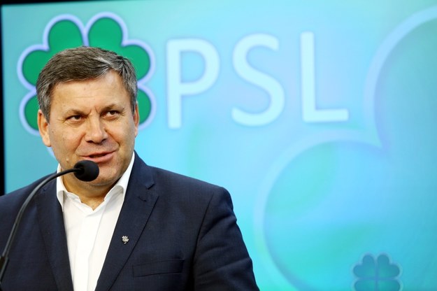Prezes PSL Janusz Piechociński / 	Tomasz Gzell    /PAP
