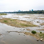 Prezes Wód Polskich o suszy: Konieczne racjonalne gospodarowanie wodą