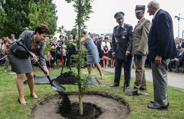 Prezes Zarządu Głównego Związku Powstańców Warszawskich gen. Zbigniew Ścibor-Rylski (trzeci z prawej), prezes zarządu głównego Światowego Związku Żołnierzy AK Leszek Żukowski (pierwszy z prawej) i prezydent Warszawy Hanna Gronkiewicz-Waltz (po lewej) podczas uroczystości zasadzenia Drzewa Pamięci w Ogrodzie Saskim w Warszawie /Jakub Kamiński   /PAP