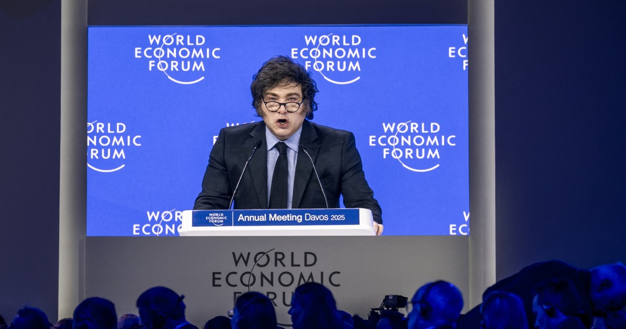 Prezydent Argentyny Javier Milei do uczestników forum w Davos /FABRICE COFFRINI /AFP