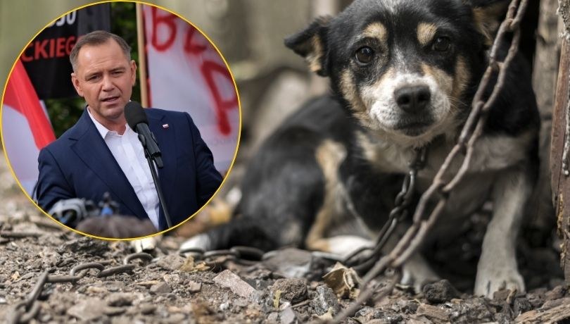 Prezydent Karol Nawrocki zawetował tzw. ustawę łańcuchową. /Shutterstock