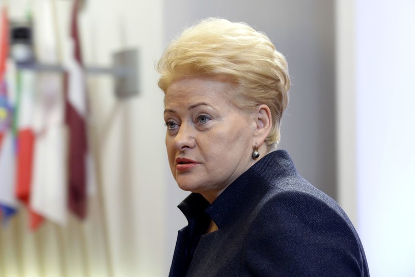 Prezydent Litwy Dalia Grybauskaite /AFP