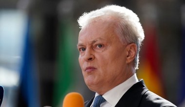 Prezydent Litwy o wyborach w Polsce. "Zrobię wszystko"