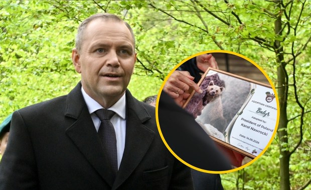 Prezydent Nawrocki zaadoptował niedźwiedzia. "Miś Batyr"