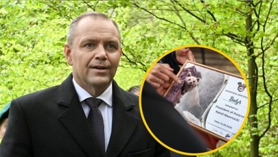 Prezydent Nawrocki zaadoptował niedźwiedzia. "Miś Batyr"