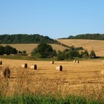 Prezydent podpisał ustawę o kształtowaniu ustroju rolnego