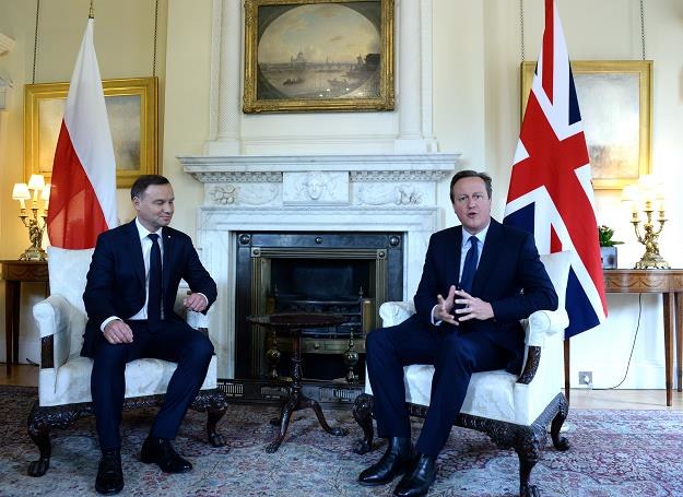 Prezydent RP Andrzej Duda (L) i premier Wielkiej Brytanii David Cameron (P) /PAP