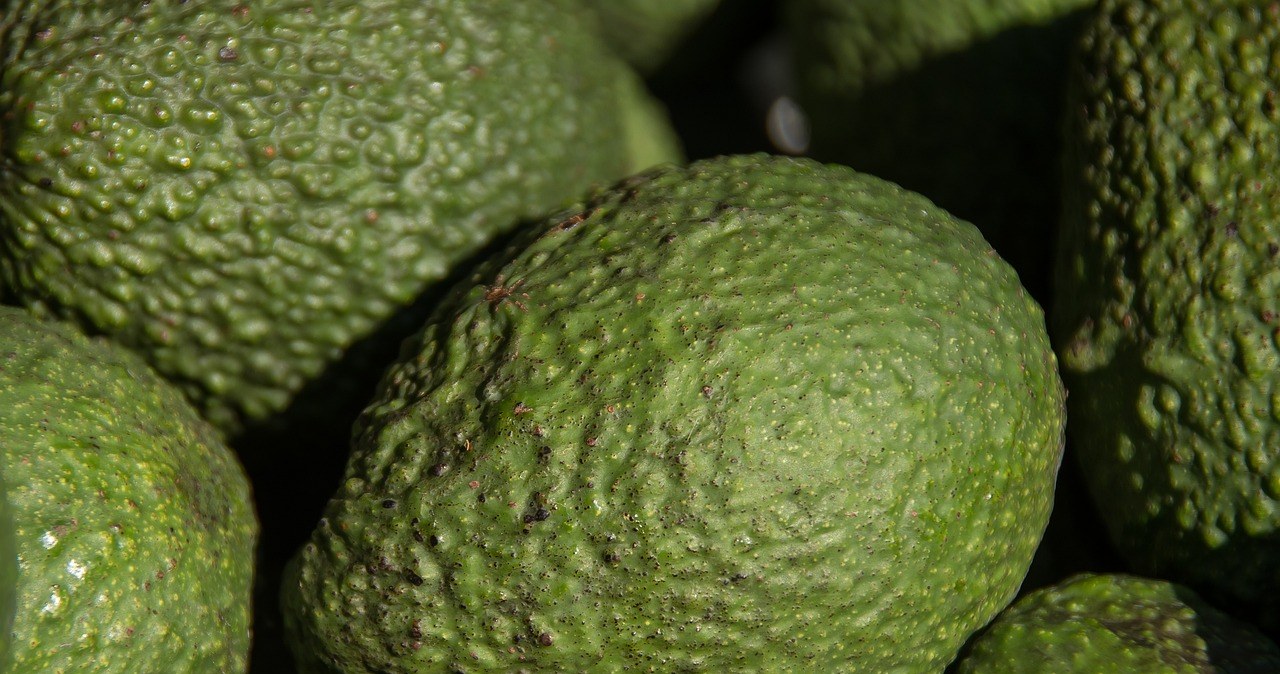 При виборі аковадо звертайте увагу на шкірку /pixabay.com