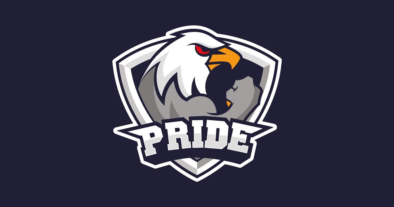 PRIDE - logo zespołu /materiały prasowe