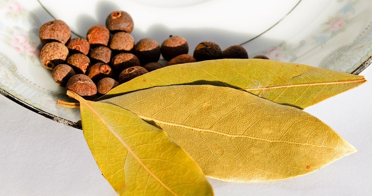 Приготуйте відвар з лаврового листа - це ліки від здуття живота і проблем з печінкою /pixabay.com