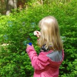 Próba porwania dziecka w Małopolsce. Służby w gotowości