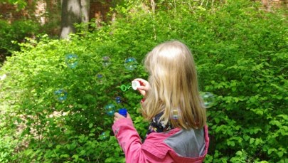 Próba porwania dziecka w Małopolsce. Służby w gotowości