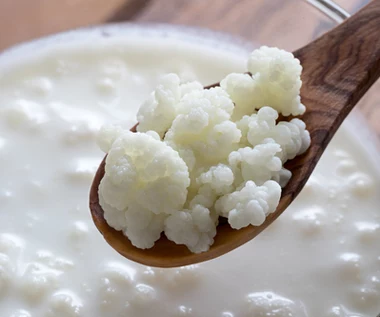 ​Probiotyki i prebiotyki. Czy i kiedy warto je suplementować?