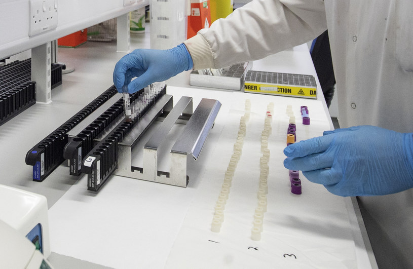 Próbki koronawirusa w laboratorium/ zdjęcie ilustracyjne /AFP