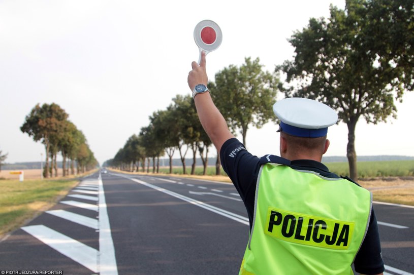 Problem niejasności niektórych przepisów zwykle dostrzegamy dopiero w momencie kontroli drogowej /Piotr Jędzura /Reporter