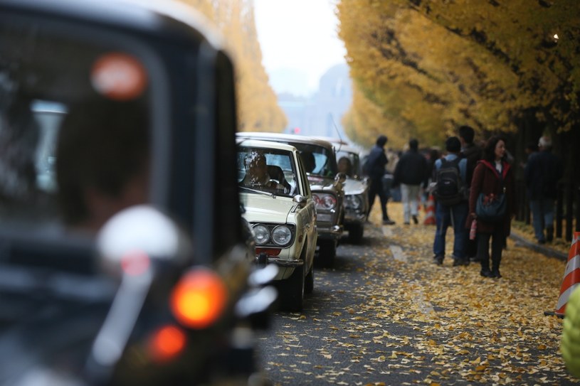 Problem starych kierowców w Japonii staje się coraz poważniejszy /Getty Images