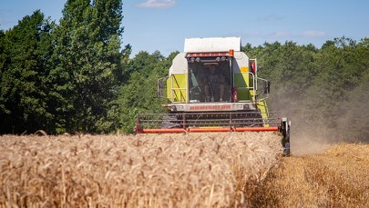 Problem z eksportem ukraińskiego zboża. Co może się zmienić?