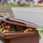 Problematyczne bioodpady. Które śmieci powinny tam trafić? 