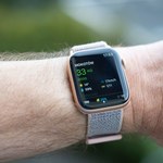 Problemy Apple w Niemczech. Sąd wytknął gigantowi ekościemę