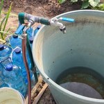 Problemy działkowców z Gniezna. "Od tygodni nie mamy wody"