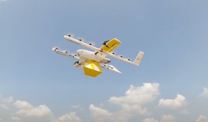 Problemy mieszkańców Australii - ptaki atakują drony dostawcze