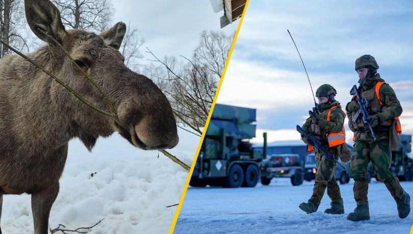 Problemy narastają w bazie na Andøya /OLE MARTIN WOLD/AFP/East News /Shutterstock