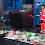 Problemy Polaków ze śmieciami. Jak segregować odpady?