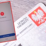 Problemy z dostępem do państwowych usług. Wszystko przez nowy system faktur