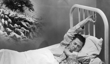 Problemy ze snem? Tu zaśniesz i policzysz prawdziwe owce