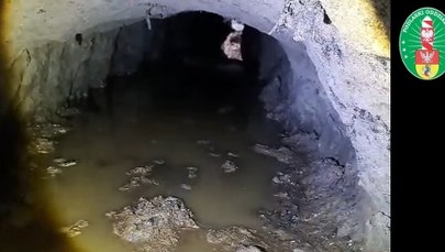 Próbowali dostać się do Polski tunelem. Wpadka migrantów