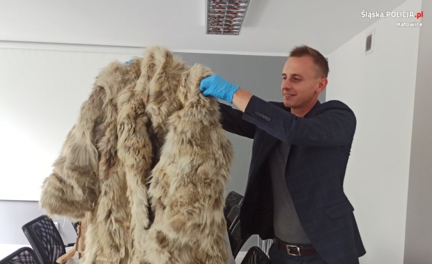 Próbowali sprzedać futro z wilka kanadyjskiego. Nie wiedzieli, że to nielegalne 
