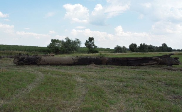 ​Próbowali ukraść polski heban. Odpowiedzą za niszczenie brzegu Sanu    